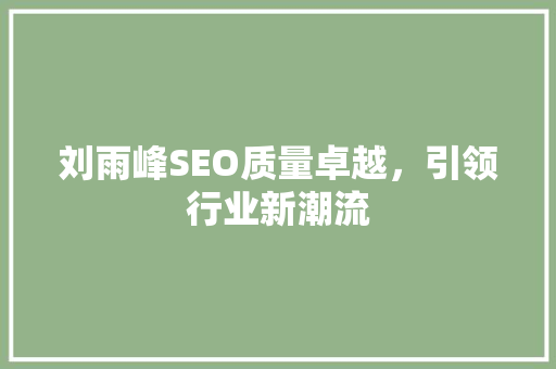 刘雨峰SEO质量卓越，引领行业新潮流