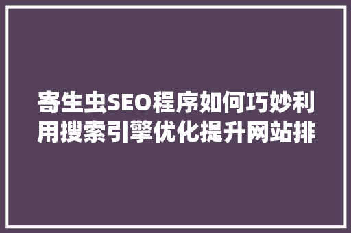 寄生虫SEO程序如何巧妙利用搜索引擎优化提升网站排名