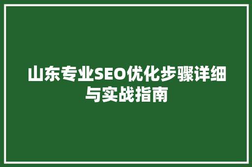 山东专业SEO优化步骤详细与实战指南