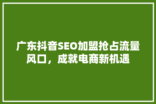 广东抖音SEO加盟抢占流量风口，成就电商新机遇