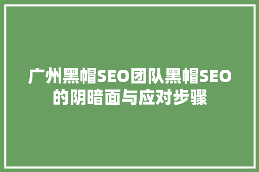 广州黑帽SEO团队黑帽SEO的阴暗面与应对步骤