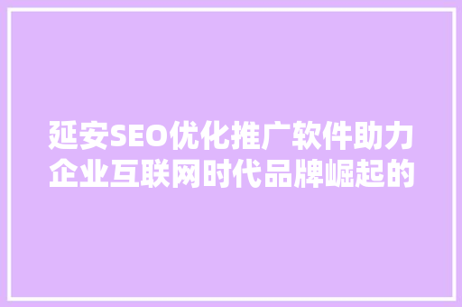 延安SEO优化推广软件助力企业互联网时代品牌崛起的得力助手