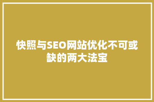 快照与SEO网站优化不可或缺的两大法宝