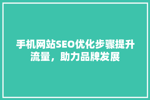 手机网站SEO优化步骤提升流量，助力品牌发展