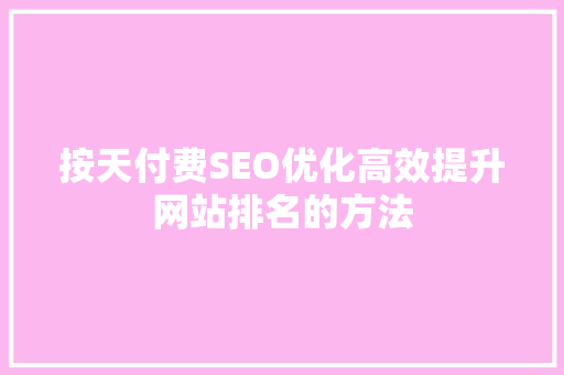 按天付费SEO优化高效提升网站排名的方法