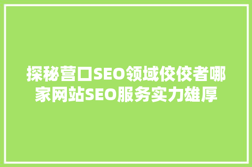 探秘营口SEO领域佼佼者哪家网站SEO服务实力雄厚