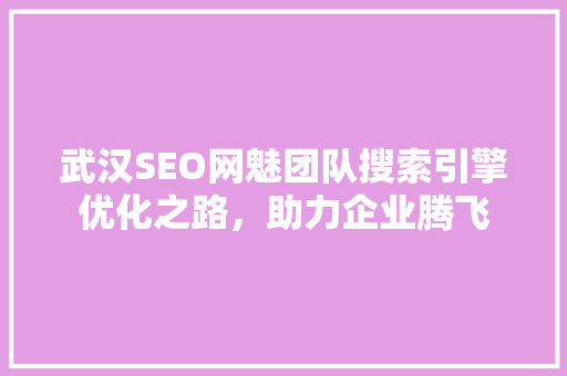 武汉SEO网魅团队搜索引擎优化之路，助力企业腾飞