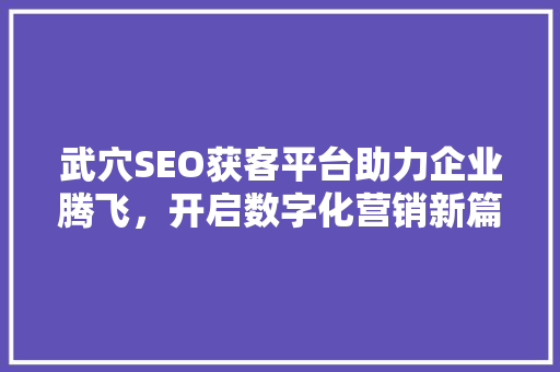 武穴SEO获客平台助力企业腾飞，开启数字化营销新篇章