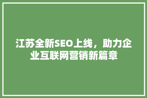 江苏全新SEO上线，助力企业互联网营销新篇章