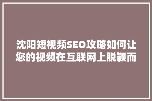 沈阳短视频SEO攻略如何让您的视频在互联网上脱颖而出