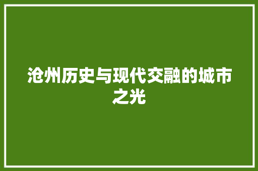 沧州历史与现代交融的城市之光