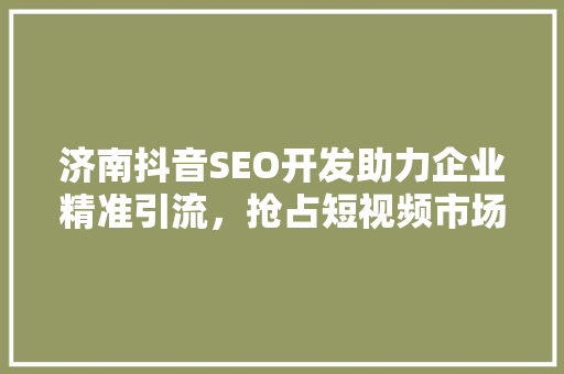 济南抖音SEO开发助力企业精准引流，抢占短视频市场先机