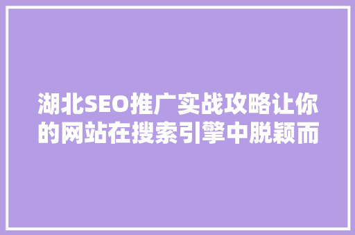湖北SEO推广实战攻略让你的网站在搜索引擎中脱颖而出