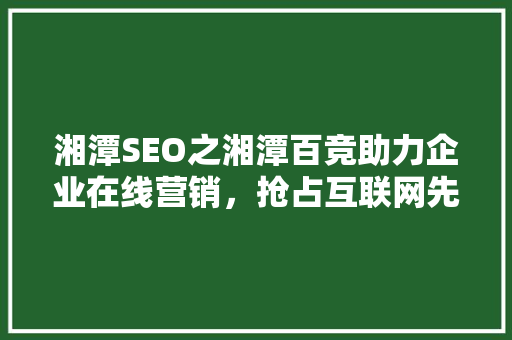 湘潭SEO之湘潭百竞助力企业在线营销，抢占互联网先机