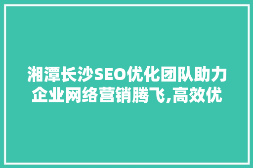 湘潭长沙SEO优化团队助力企业网络营销腾飞,高效优化步骤
