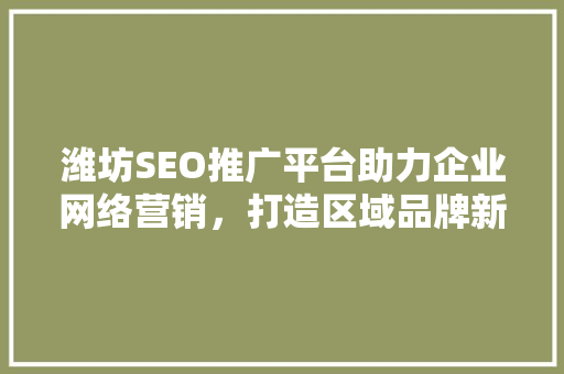 潍坊SEO推广平台助力企业网络营销，打造区域品牌新高度