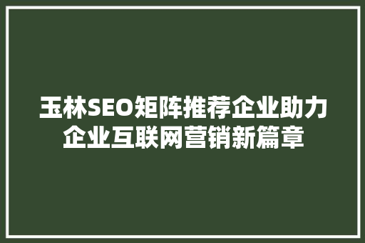 玉林SEO矩阵推荐企业助力企业互联网营销新篇章