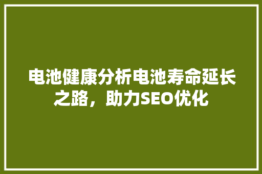 电池健康分析电池寿命延长之路，助力SEO优化