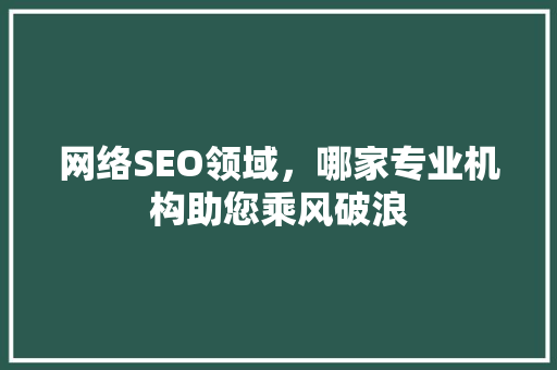 网络SEO领域，哪家专业机构助您乘风破浪