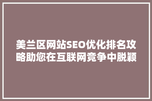 美兰区网站SEO优化排名攻略助您在互联网竞争中脱颖而出