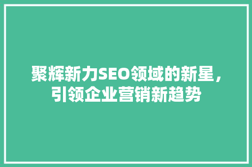 聚辉新力SEO领域的新星，引领企业营销新趋势