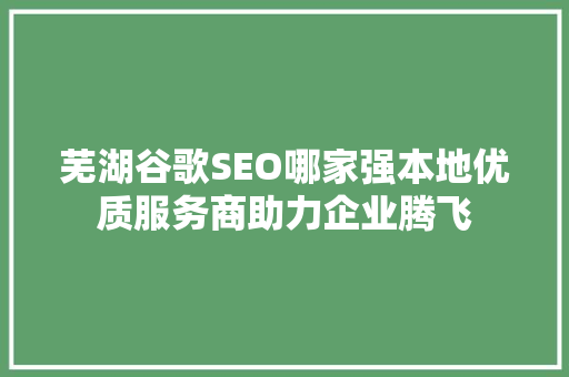 芜湖谷歌SEO哪家强本地优质服务商助力企业腾飞