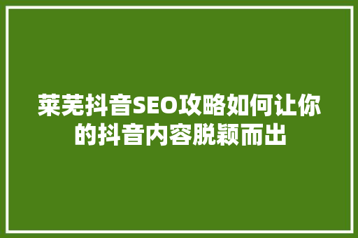 莱芜抖音SEO攻略如何让你的抖音内容脱颖而出