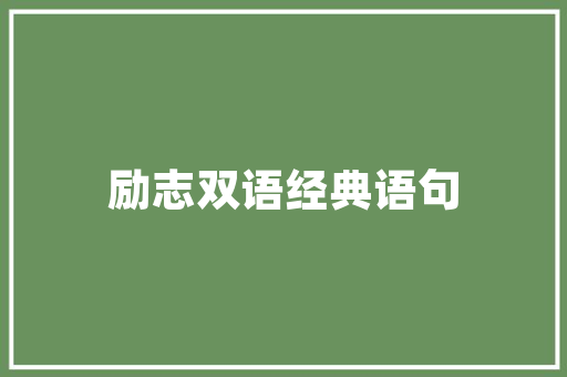 详细2025SEO教程关键词优化步骤与实战方法