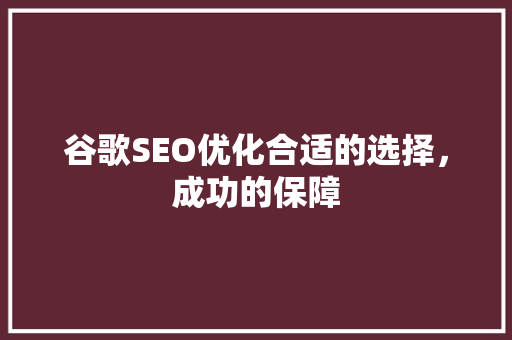 谷歌SEO优化合适的选择，成功的保障