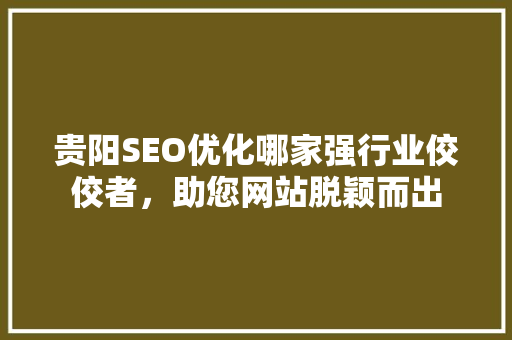 贵阳SEO优化哪家强行业佼佼者，助您网站脱颖而出