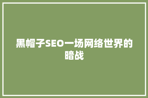 黑帽子SEO一场网络世界的暗战
