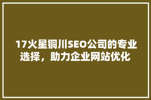 17火星铜川SEO公司的专业选择，助力企业网站优化