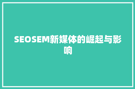 SEOSEM新媒体的崛起与影响