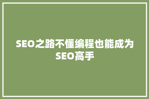 SEO之路不懂编程也能成为SEO高手