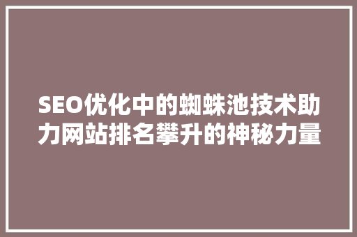SEO优化中的蜘蛛池技术助力网站排名攀升的神秘力量