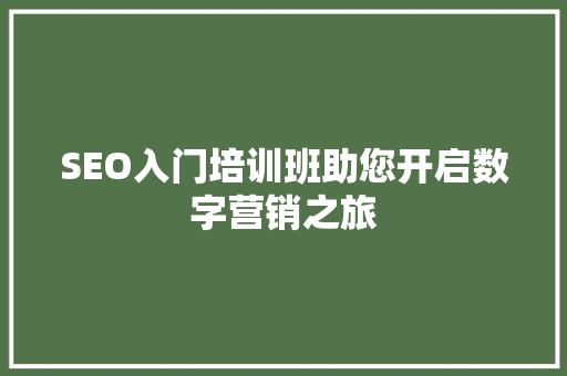 SEO入门培训班助您开启数字营销之旅