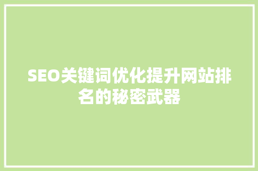 SEO关键词优化提升网站排名的秘密武器