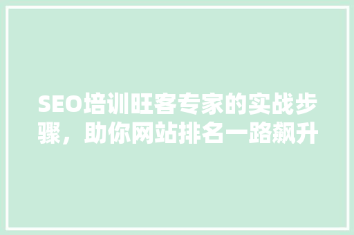 SEO培训旺客专家的实战步骤，助你网站排名一路飙升