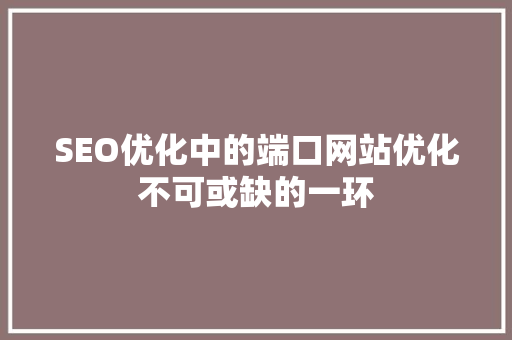 SEO优化中的端口网站优化不可或缺的一环