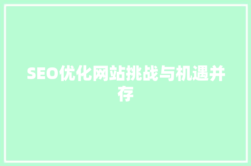 SEO优化网站挑战与机遇并存