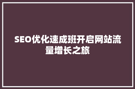 SEO优化速成班开启网站流量增长之旅