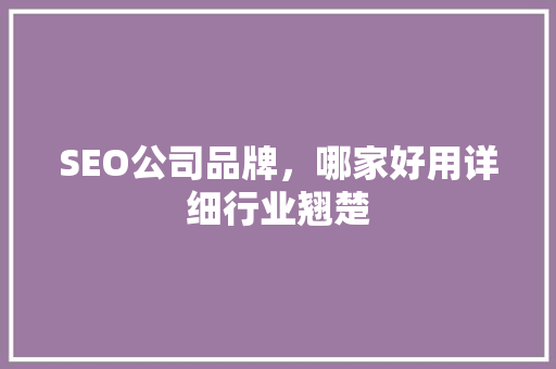 SEO公司品牌，哪家好用详细行业翘楚