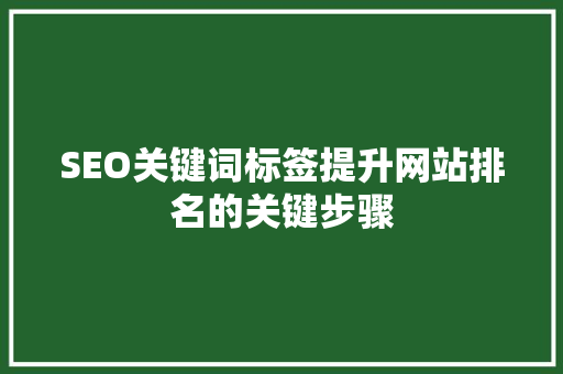 SEO关键词标签提升网站排名的关键步骤