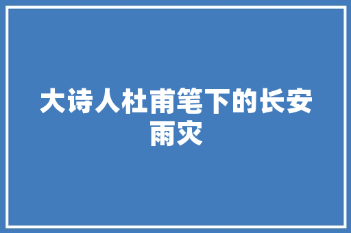 SEO岗位未来趋势数字化转型下的新机遇