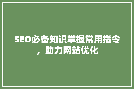 SEO必备知识掌握常用指令，助力网站优化
