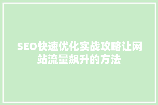 SEO快速优化实战攻略让网站流量飙升的方法