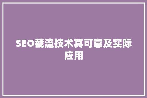 SEO截流技术其可靠及实际应用