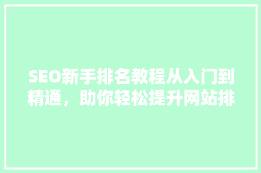 SEO新手排名教程从入门到精通，助你轻松提升网站排名