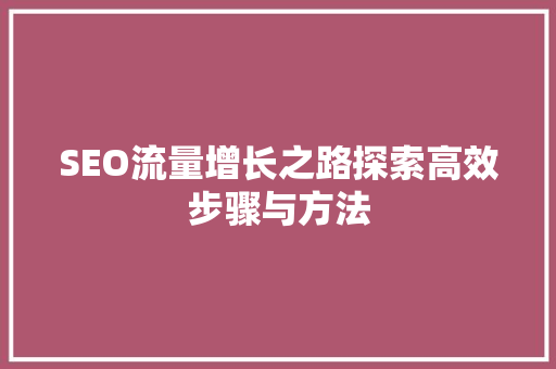 SEO流量增长之路探索高效步骤与方法