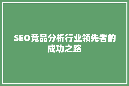 SEO竞品分析行业领先者的成功之路
